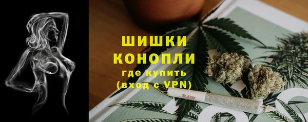 PSILOCYBIN Абаза