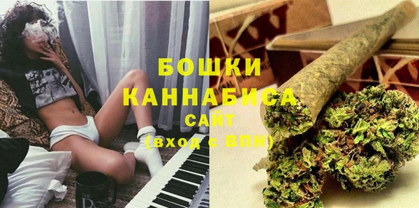 PSILOCYBIN Абаза