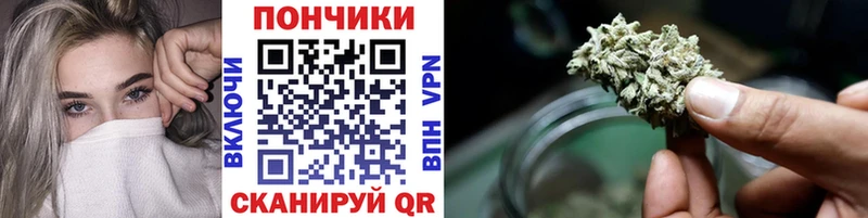 Канабис гибрид  как найти закладки  Сурск 